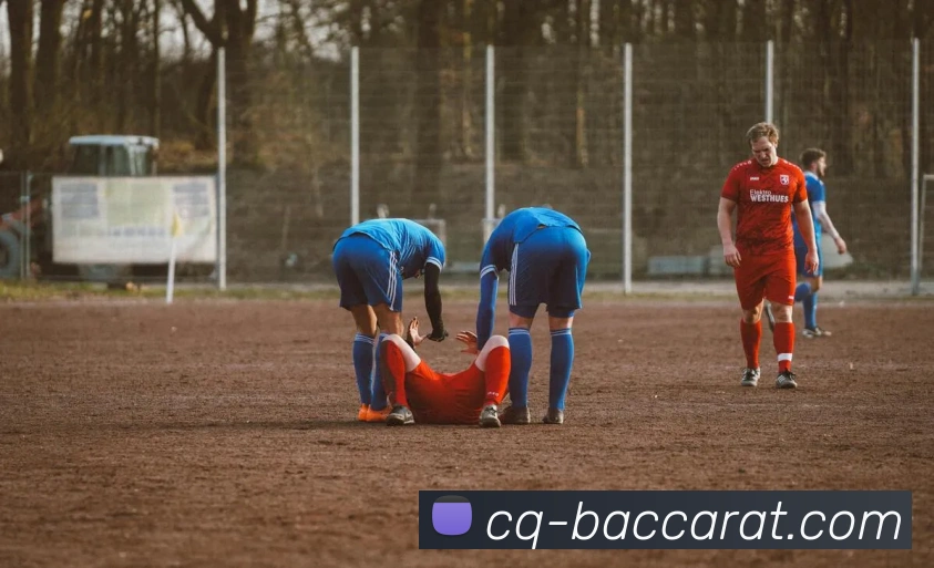 百家乐官网平台生态图